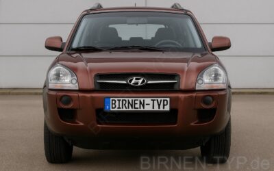 Liste mit allen Birnen für den Hyundai ix35 / Tucson 1. Gen (Typ JM – 2004-2010)