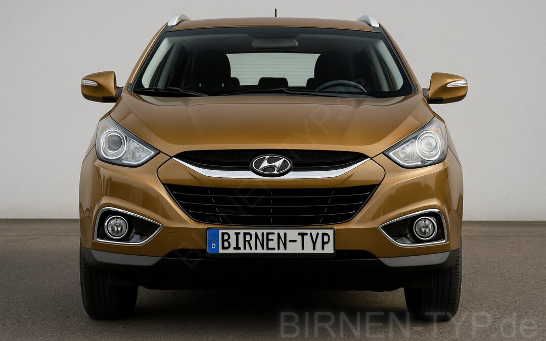 Liste mit allen Birnen für den Hyundai ix35 / Tucson 2. Gen (Typ LM, EL – 2009-2015)