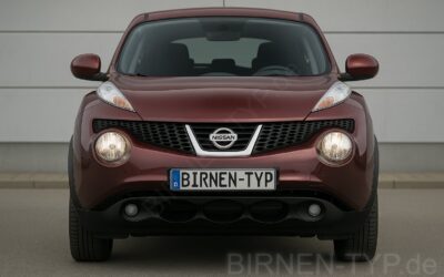 Liste mit allen Birnen für den Nissan Juke 1. Gen (Typ F15 – 2010-2019)