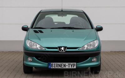 Liste mit allen Birnen für den Peugeot 206 1. Gen (Typ 2A/C, 2E/K, 2D – 1998-2007)