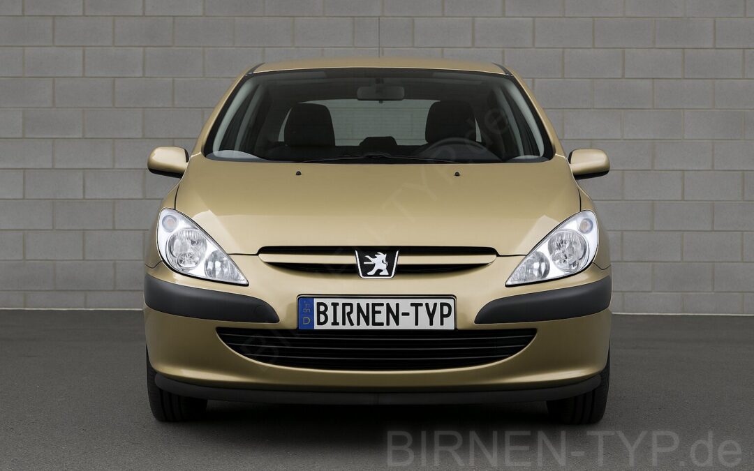 Liste mit allen Birnen für den Peugeot 307 1. Gen (Typ 3A/C, 3E, 3H, 3B – 2000-2012)
