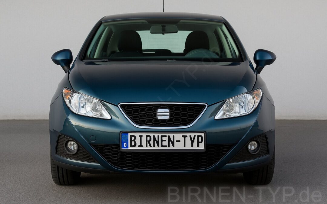 Liste mit allen Birnen für den Seat Ibiza 3. Gen (Typ 6L1 – 2002-2009)
