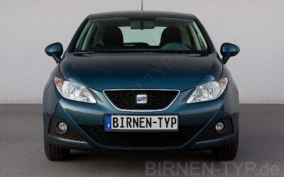 Liste mit allen Birnen für den Seat Ibiza 3. Gen (Typ 6L1 – 2002-2009)