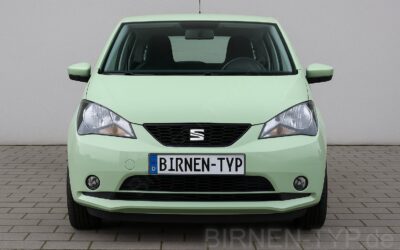 Liste mit allen Birnen für den Seat Mii 1. Gen (Typ KF1, KE1 – 2011-2021)