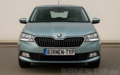 Liste mit allen Birnen für den Škoda Fabia 3. Gen (Typ NJ3, NJ5, 5J – 2014-2021)