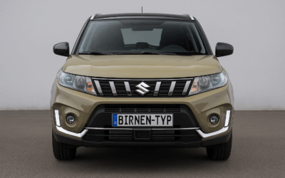Liste mit allen Birnen für den Suzuki Vitara 2015 Gen (Typ LY – 2015-heute)