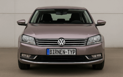 Liste mit allen Birnen für den Volkswagen VW Passat 7. Gen (Typ B7, 3C – 2010-2015)