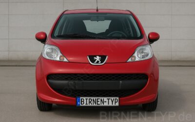 Liste mit allen Birnen für den Peugeot 107 (Typ: PG/PM/PN, 2005-2014)